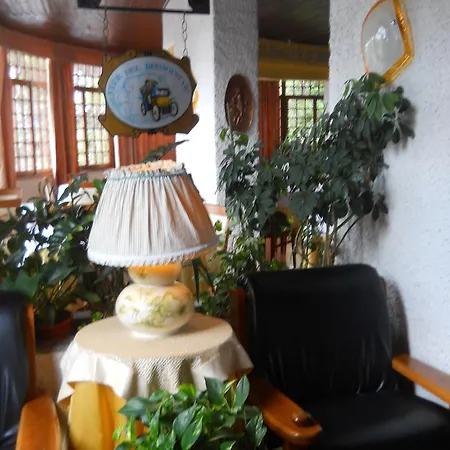 Il Rustichello Hotel 3*